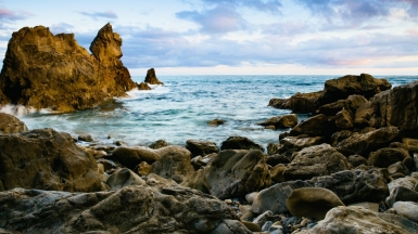 Фото: Austin Neill, unsplash.com