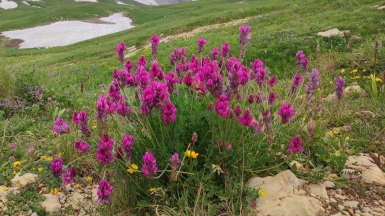 Фото нашей Странницы Натальи Киселёвой