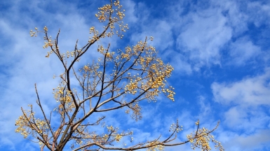 Фото нашей Странницы Оксаны Царьковой