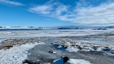 Фото: Agnieszka Mordaunt, unsplash.com