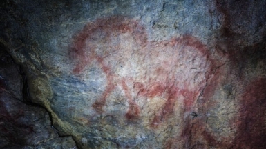 Фото с сайта ФГБУ «Государственный заповедник «Шульган-Таш»