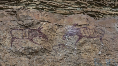 Фото нашего гида Михаила Верёвченко