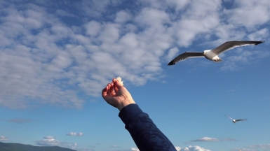 Фото нашего Странника Антона Дули