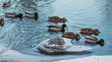 Фото Milton Wiklund для Unsplash