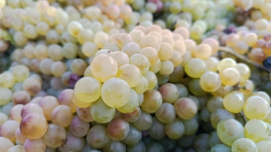 Фото наших Странников