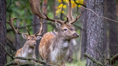 Фото нашего гида Михаила Верёвченко