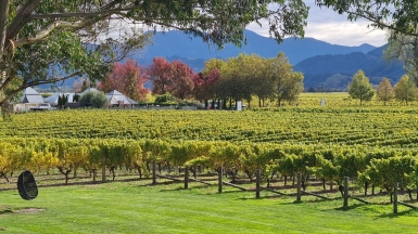 Фото: JustGoThere.NZ