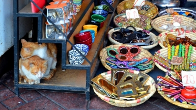 Фото нашей Странницы Оксаны Царьковой