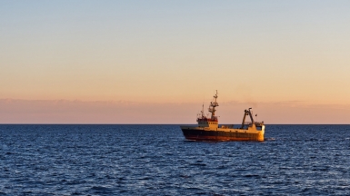 Фото: Alexxx1979, visualhunt.com