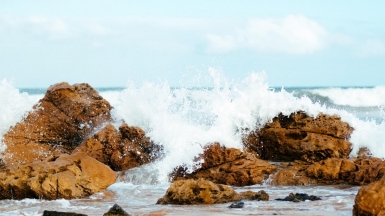 Фото: Jack Alexander, unsplash.com