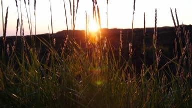 Фото нашего Странника Владимира Гущина