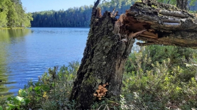 Фото наших Странников