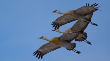 Фото из архива Клуба