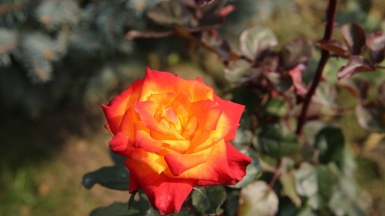 Фото нашего Странника Виктора Веретенова