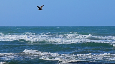 Фото из архива Клуба