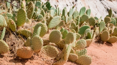 Фото: Lydia Venjohn, unsplash.com