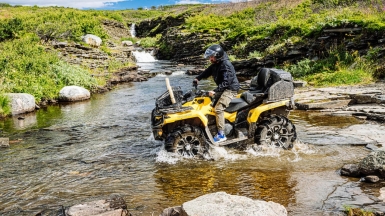 Фото «Китовый берег»