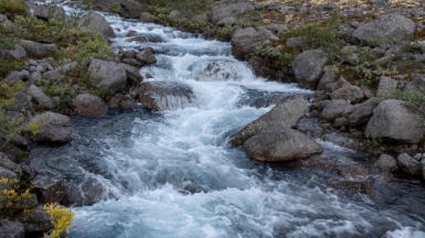 Фото: Eugen Rusakov, unsplash.com