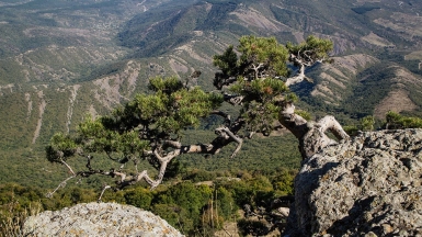 Фото: Евгений Маркин