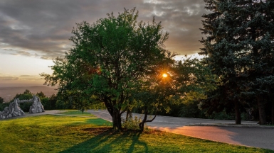 Фото: German Borodin, unsplash.com