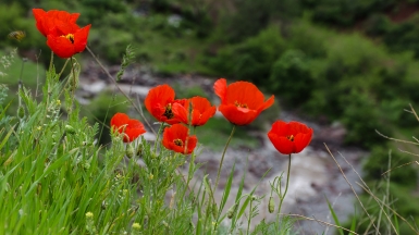 По дороге к перевалу Тоо Ашу. Фото: Анатолий Жидков