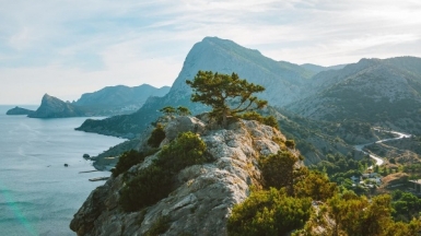 Фото: Nikolay Vorobyev, unsplash.com