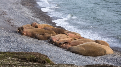 Фото из архива Клуба