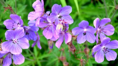 Фото из архива Клуба