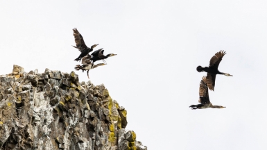 Фото из архива Клуба