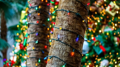 Фото: malonejc77, visualhunt.com