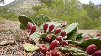 Фото Романа Приймака
