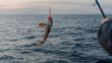 Фото из архива Клуба