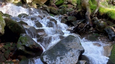 Фото наших Странников