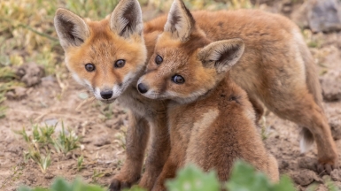 Фото нашего гида Михаила Верёвченко