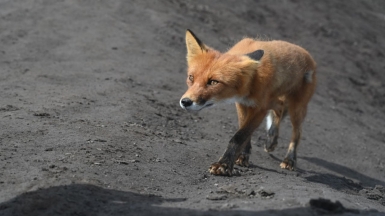 Фото наших Странников