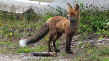 Фото наших Странников