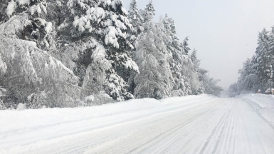 Фото нашего гида