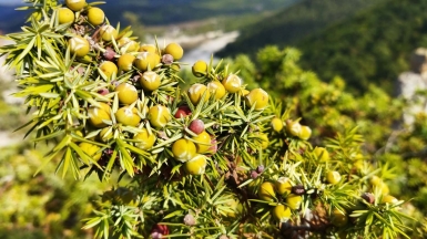 Фото нашего гида Галины Шелудько