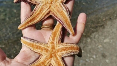 Фото из архива Клуба