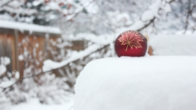 Фото: Oxana Lyashenko, unsplash.com