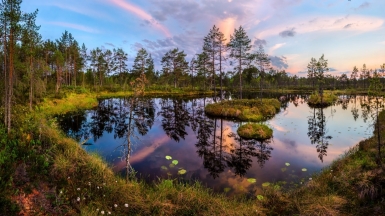 Фото Фёдора Лашкова