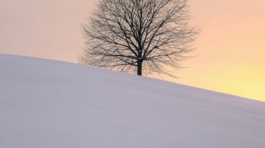 Фото: Fabrice Villard, unsplash.com