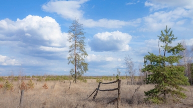 Фото нашего гида Михаила Верёвченко