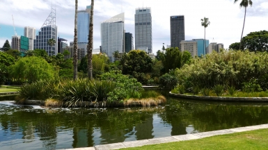 Фото: harryandrowenaphotos, visualhunt.com