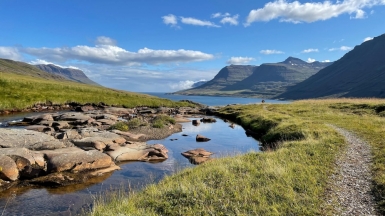 Автор: norman morales, источник: unsplash