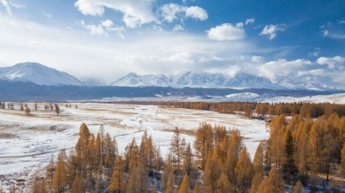 Фото Алексея Горна