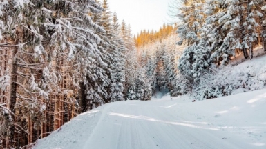 Фото: Daniel J. Schwartz, unsplash.com