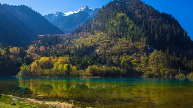 Автор: jmhullot. Источник: visualhunt.com