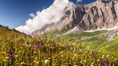 Фото: depositphotos.com