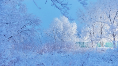 Фото: tengyart on unsplash